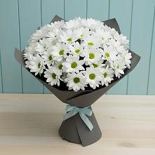 Букет цветов из:  Хризантемы #REPLACE_PRED# Пчегатлукае