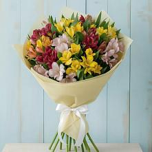 Букет цветов из:  Альстромерии в Пчегатлукае