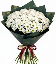 Букет цветов из:  Хризантемы в Пчегатлукае