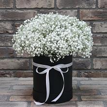 Цветочная композиция из Гипсофила в шляпной коробке в Пчегатлукае