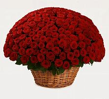 Премиум букет из: Розы в Пчегатлукае