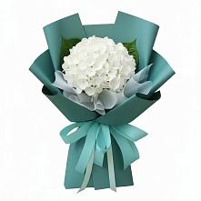 Букет цветов из:  Гортензия #REPLACE_PRED# Пчегатлукае